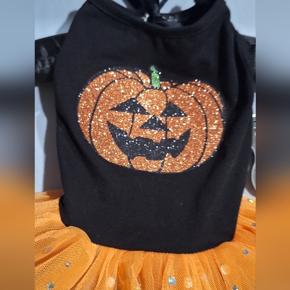 Pawpatu - Picture 2 of 5